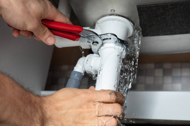 Best Water damage cleanup near me  in Avodo Heights, CA