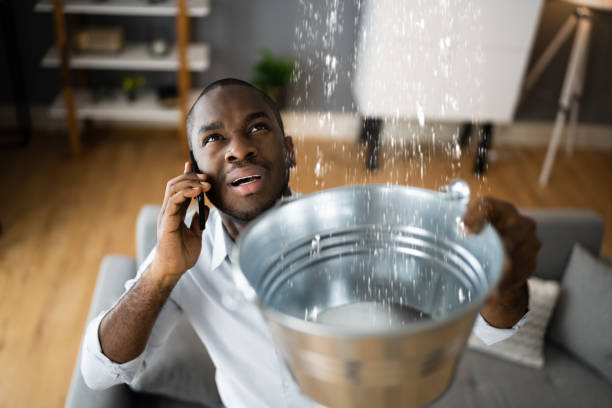 Best Ceiling water damage repair  in Avodo Heights, CA