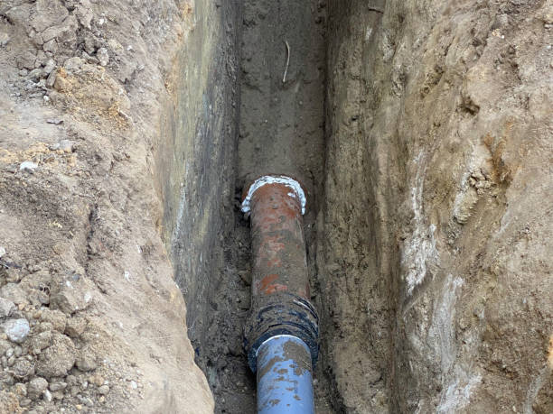 Best Basement water damage restoration  in Avodo Heights, CA