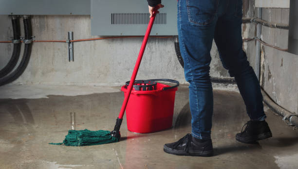  Avodo Heights, CA Water damage restoration Pros