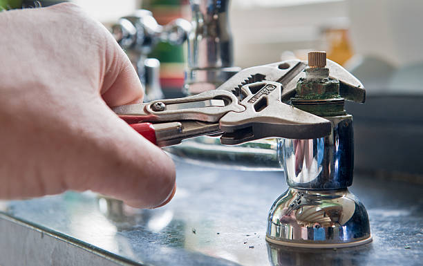 Best Mold removal after water damage  in Avodo Heights, CA