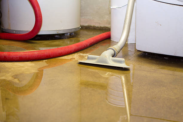 Best Sewage cleanup and water damage restoration  in Avodo Heights, CA