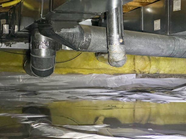 Best Flooded house restoration  in Avodo Heights, CA