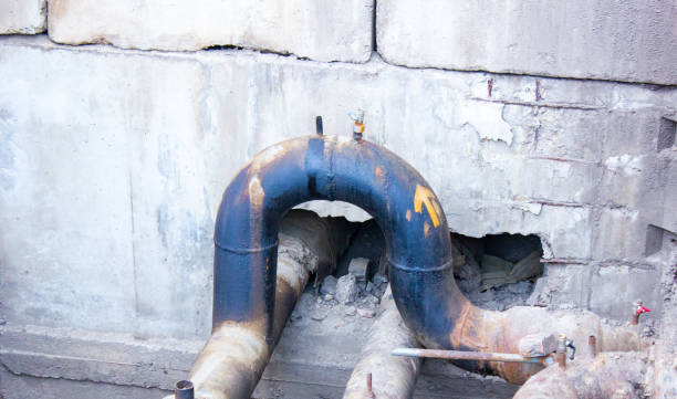Best 24-hour water damage restoration  in Avodo Heights, CA