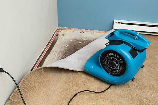 Best 24/7 water damage repair  in Avodo Heights, CA