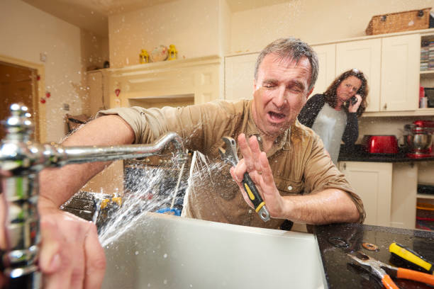 Best Water damage mitigation services  in Avodo Heights, CA